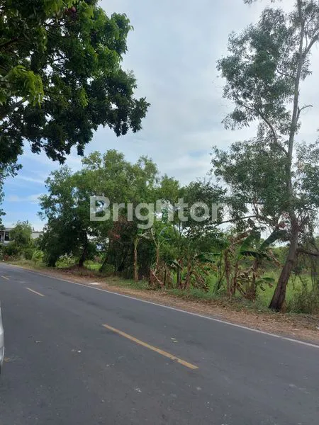 image TANAH NOL JALAN, RAYA KAMAL BANGKALAN (3)