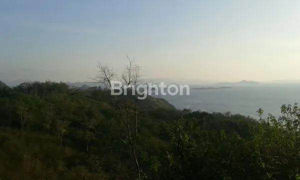 image DIJUAL CEPAT TANAH LABUAN BAJO (1)