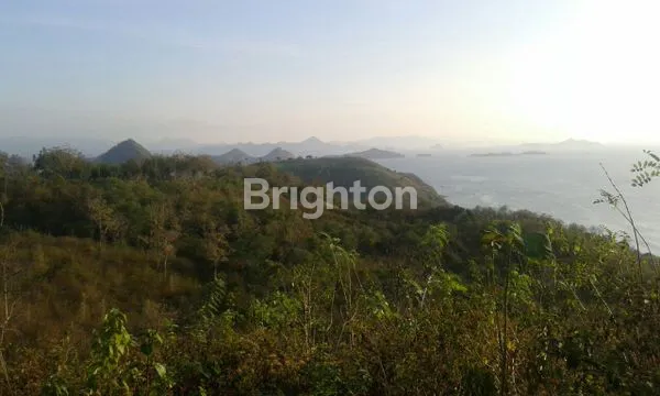 image DIJUAL CEPAT TANAH LABUAN BAJO (3)