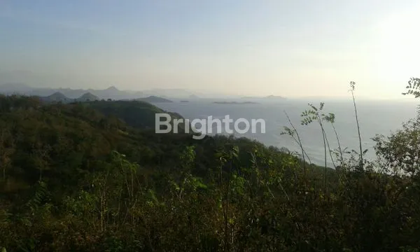 image DIJUAL CEPAT TANAH LABUAN BAJO (6)