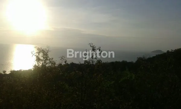 image DIJUAL CEPAT TANAH LABUAN BAJO (5)