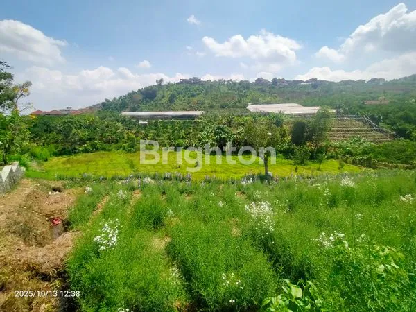 image TANAH LUAS 3.004 M² DI JL. ANJASMORO PUNTEN, BUMIAJI – DEKAT WISATA SELECTA, CANGAR & COBAN TALUN - KOTA BATU, MALANG (5)