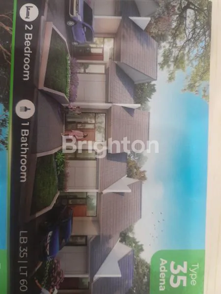 image PUTA NUTU  (1)