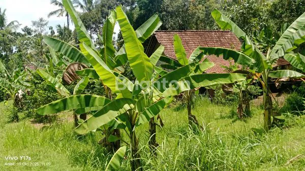 image TANAH PEKARANGAN SIAP BANGUN DI PLUMBON SURUH  (1)