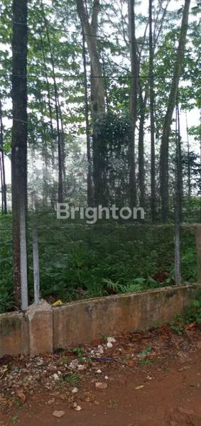 image KAVLING STRATEGIS SERPONG 4.853M² SHM (2)