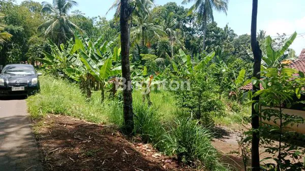 TANAH DI PLUMBON SURUH SALATIGA