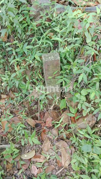 image TANAH DI PLUMBON SURUH SALATIGA (4)