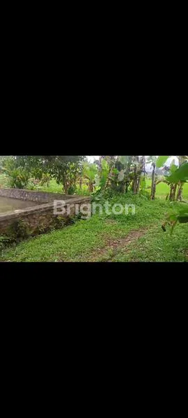 image TANAH DAERAH CICURUG LUAS 2 HA. DIJUAL. ADA MATA AIR NYA (3)