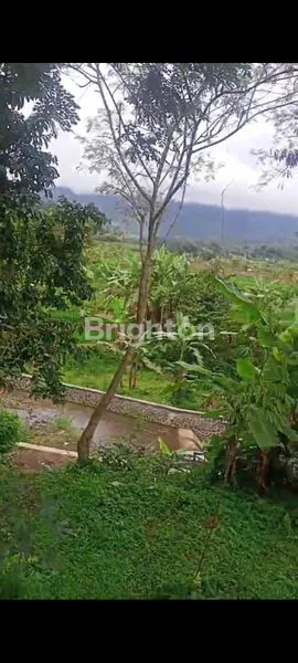 image TANAH DAERAH CICURUG LUAS 2 HA. DIJUAL. ADA MATA AIR NYA (1)