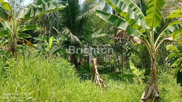 image TANAH SIAP BANGUN DI SURUH SALATIGA (7)