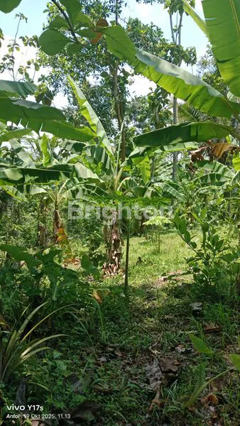 image TANAH SIAP BANGUN DI SURUH SALATIGA (2)