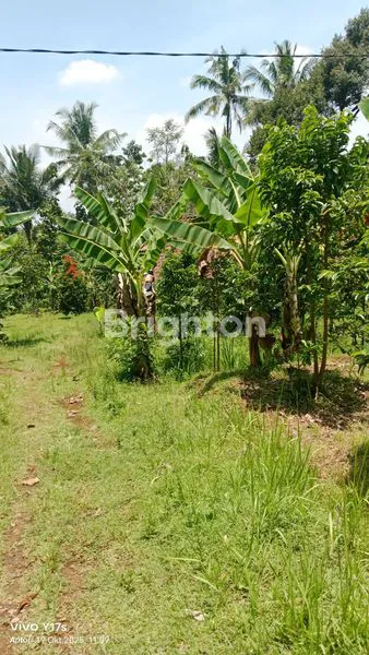 image TANAH SIAP BANGUN DI SURUH SALATIGA (4)