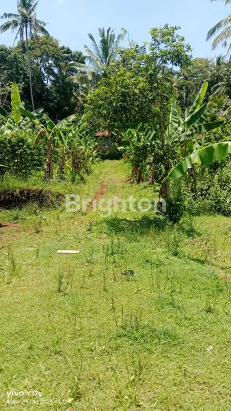 image TANAH SIAP BANGUN DI SURUH SALATIGA (8)