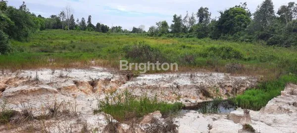 image TANAH PENAJAM (2)