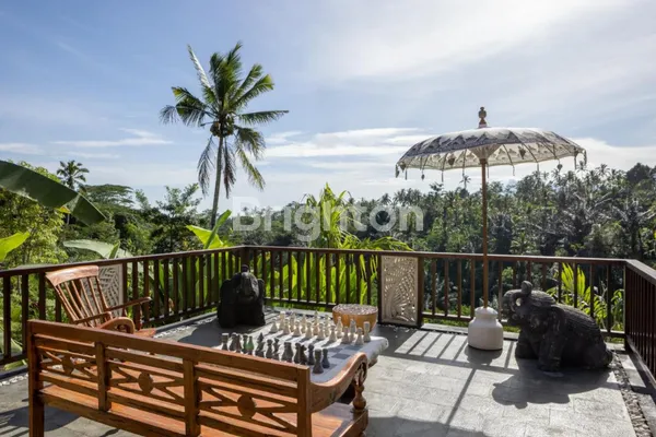 image JUAL VILLA DAERAH UBUD (7)