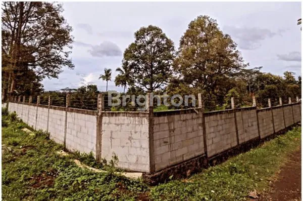 image TANAH PERKEBUNAN KARANGANYAR JATENG (1)