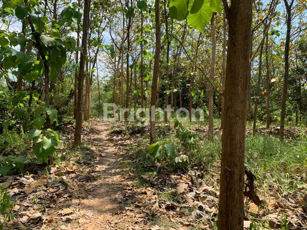 image TANAH SHM JL RAYA BULU JATIROGO (18.300 M²) (3)