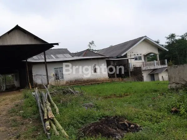 image JUAL TANAH PURWODADI PASURUAN (7)