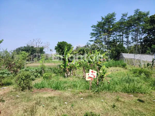 image TANAH KARANGPLOSO (1)