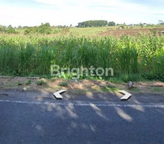 image SEWA TANAH 60 ARE DESA BEREMBENG (2)