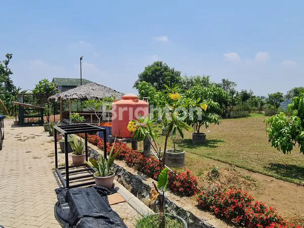 image PASIR JENGKOL - TANAH PERKEBUNAN (3)