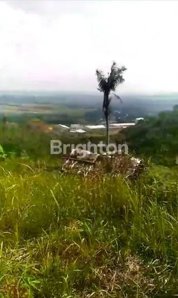 image INVESTASI EMAS HIJAU! TANAH SHM 10 HA DI CIJAMBE SUKABUMI DENGAN AKSES JALAN NASIONAL (1)