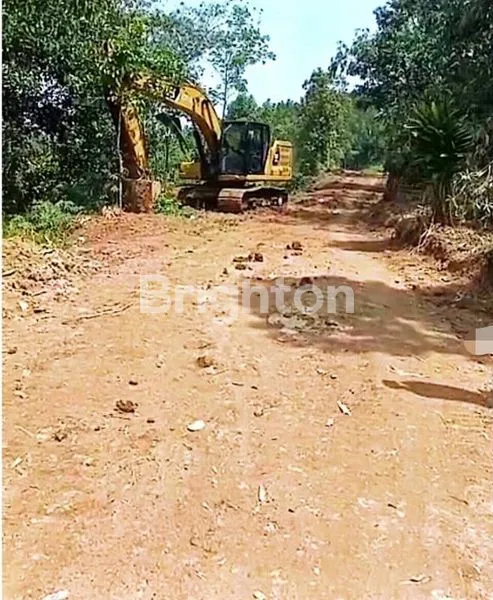 image INVESTASI EMAS HIJAU! TANAH SHM 10 HA DI CIJAMBE SUKABUMI DENGAN AKSES JALAN NASIONAL (3)