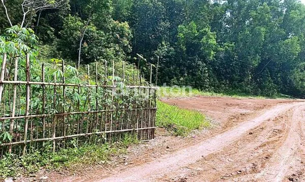 image INVESTASI EMAS HIJAU! TANAH SHM 10 HA DI CIJAMBE SUKABUMI DENGAN AKSES JALAN NASIONAL (5)