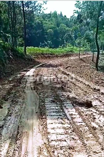 image INVESTASI EMAS HIJAU! TANAH SHM 10 HA DI CIJAMBE SUKABUMI DENGAN AKSES JALAN NASIONAL (6)