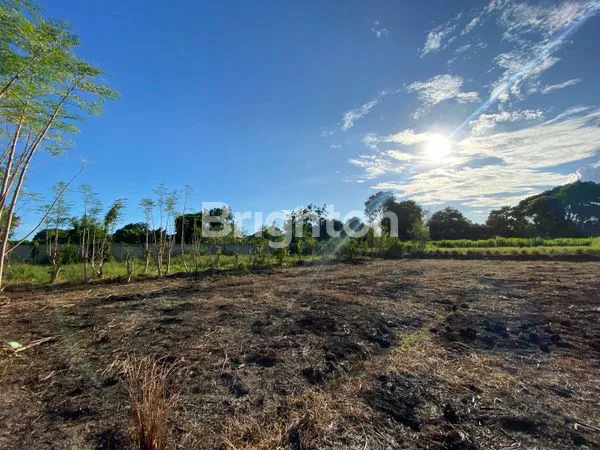 image TANAH PINGGIR PANTAI SANUR (1)