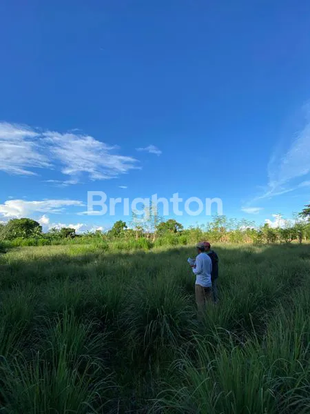 image TANAH PINGGIR PANTAI SANUR (3)