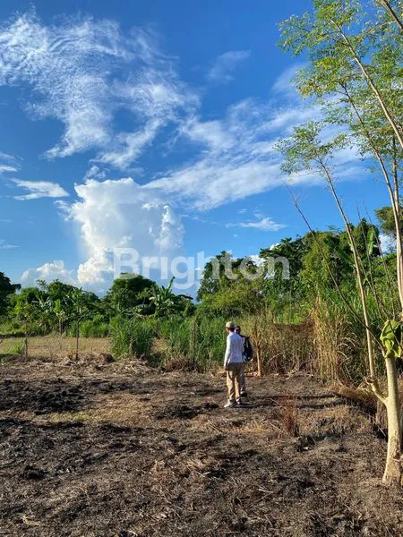 image TANAH PINGGIR PANTAI SANUR (4)