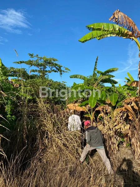 image TANAH PINGGIR PANTAI SANUR (6)
