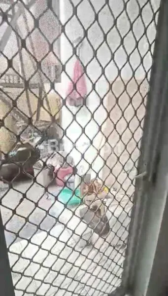 image RUMAH SIAP HUNI DEKAT STASIUN CISAUK (5)