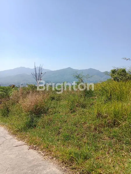 DIJUAL MURAH TANAH LUAS