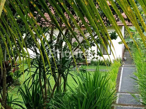 image VILLA 3 BR FULLY FURNISHED,JUNGLE VIEW WITH PRIVATE POOL & GARDEN AT UBUD  LINGKUNGAN TENANG DAN NYAMAN DEKAT TEMPAT WISATA PETUALANGAN SEPERTI RAFTING DAN ATV  (6)