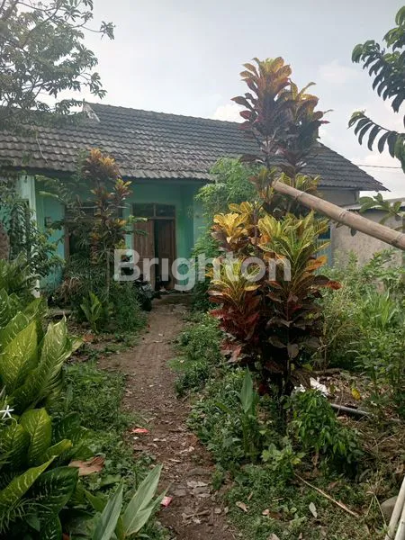 image RUMAH HITUNG TANAH 1 KM DARI LIPPOPLAZA KOTA BATU (1)