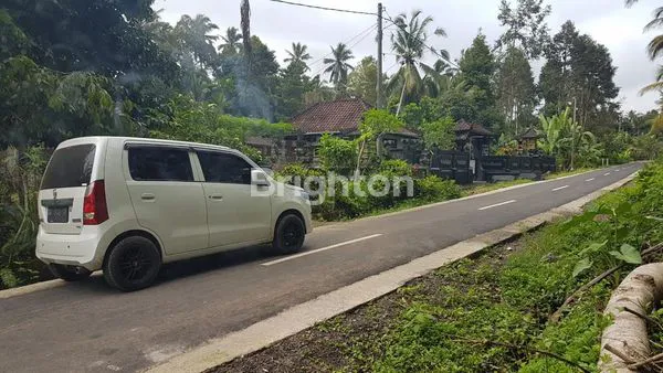 image LAHAN PERKEBUNAN ASRI 120 ARE DI PENEBEL, TABANAN – ADA SUMBER MATA AIR & SUASANA ALAM TENANG \UD83C\UDF3F\N (3)