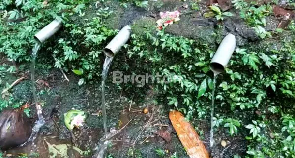 image LAHAN PERKEBUNAN ASRI 120 ARE DI PENEBEL, TABANAN – ADA SUMBER MATA AIR & SUASANA ALAM TENANG \UD83C\UDF3F\N (5)