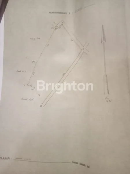 Gambar Property DI JUAL TANAH DI LAMARU SHM