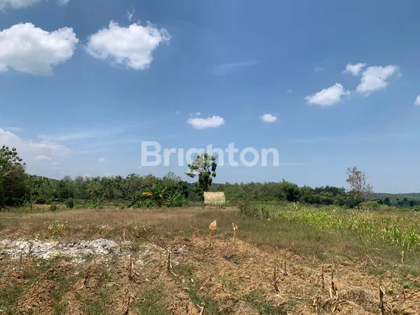 image TANAH SHM - JALAN RAYA BULU JATIROGO (1)