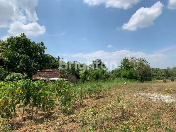 image TANAH SHM - JALAN RAYA BULU JATIROGO (3)