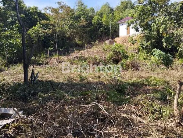 image TANAH PRONA NEGO (2)