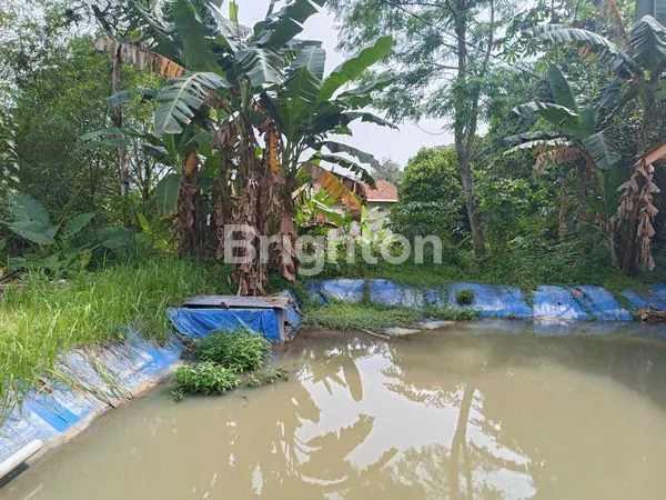 image TANAH COCOK BUAT PETERNAKAN IKAN DAN AYAM (2)