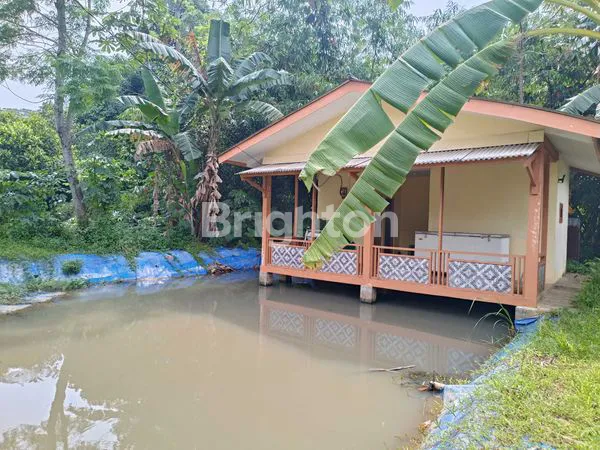 image TANAH COCOK BUAT PETERNAKAN IKAN DAN AYAM (3)