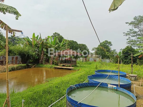 image TANAH COCOK BUAT PETERNAKAN IKAN DAN AYAM (7)