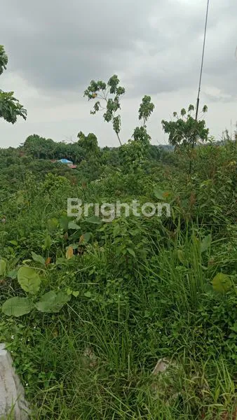 image TANAH SELUAS ±8.000M² DIAREA KARIANGAU KM. 5,5 (4)