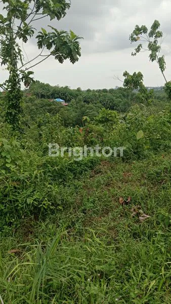 image TANAH SELUAS ±8.000M² DIAREA KARIANGAU KM. 5,5 (1)