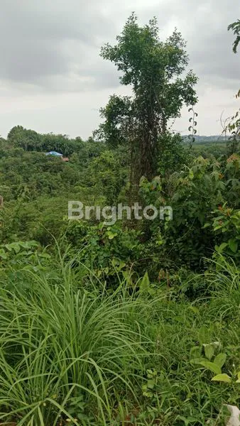 image TANAH SELUAS ±8.000M² DIAREA KARIANGAU KM. 5,5 (6)