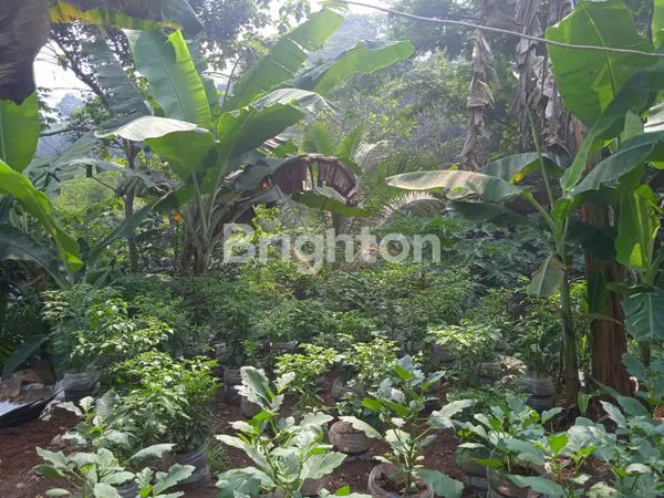 image LAHAN STRATEGIS BOJONGGEDE 1.350M² (2)